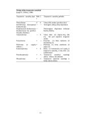 Konkurencijos modeliai 13 puslapis
