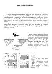 Konkurencijos modeliai 14 puslapis