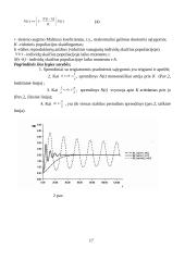 Konkurencijos modeliai 18 puslapis