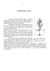 Konkurencijos modeliai 4 puslapis