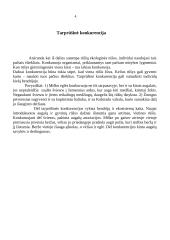 Konkurencijos modeliai 5 puslapis