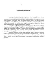 Konkurencijos modeliai 6 puslapis