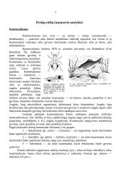 Konkurencijos modeliai 8 puslapis