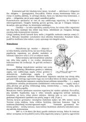 Konkurencijos modeliai 9 puslapis