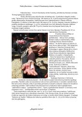 Mirties bausmės 5 puslapis