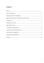 Vandenilio gamyba iš biomasės 2 puslapis