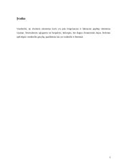 Vandenilio gamyba iš biomasės 3 puslapis