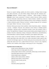 Vandenilio gamyba iš biomasės 4 puslapis