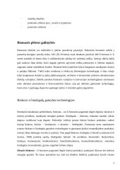 Vandenilio gamyba iš biomasės 5 puslapis