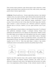 Vandenilio gamyba iš biomasės 6 puslapis