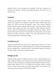 Vandenilio gamyba iš biomasės 7 puslapis