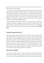 Vandenilio gamyba iš biomasės 9 puslapis