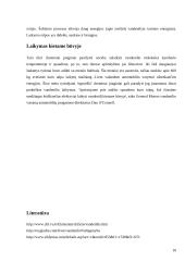 Vandenilio gamyba iš biomasės 10 puslapis