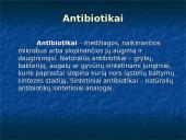 Antibiotikų gamyba 2 puslapis