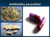 Antibiotikų gamyba 3 puslapis