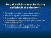 Antibiotikų gamyba 5 puslapis