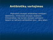 Antibiotikų gamyba 6 puslapis