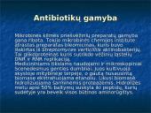 Antibiotikų gamyba 8 puslapis