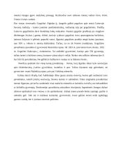 Pristatykite kelis įdomiausius savo regiono vietovardžius. Argumentuotai paaiškinkite, kuo jie jums įdomūs 2 puslapis