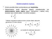 Elektromagnetizmas pristatymas 13 puslapis