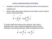 Elektromagnetizmas pristatymas 14 puslapis