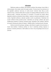 Auditoriaus teisės, pareigos ir atsakomybė referatas 18 puslapis