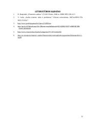 Auditoriaus teisės, pareigos ir atsakomybė referatas 19 puslapis