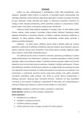 Auditoriaus teisės, pareigos ir atsakomybė referatas 3 puslapis