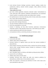 Auditoriaus teisės, pareigos ir atsakomybė referatas 7 puslapis