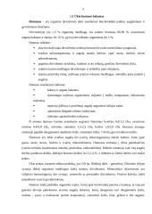 Agroekologijos praktika 4 puslapis