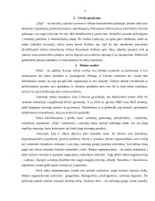 Į.I. „Elija“ rinkodaros planas 3 puslapis