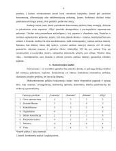 Į.I. „Elija“ rinkodaros planas 4 puslapis