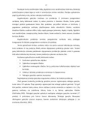 Augalininkystės gamybos apskaita UAB "Šaka" 17 puslapis