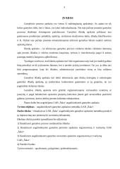 Augalininkystės gamybos apskaita UAB "Šaka" 3 puslapis