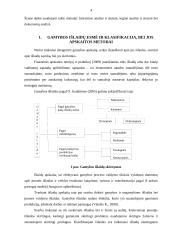 Augalininkystės gamybos apskaita UAB "Šaka" 4 puslapis