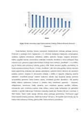 Internetinės bankininkystės plėtra Lietuvoje 18 puslapis