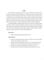 Internetinės bankininkystės plėtra Lietuvoje 3 puslapis