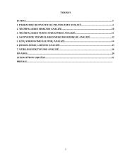 UAB „Maisto ralis“ finansinių analizių ataskaita 2 puslapis