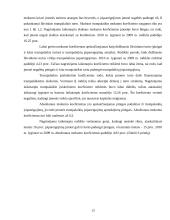 UAB „Maisto ralis“ finansinių analizių ataskaita 13 puslapis