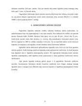 UAB „Maisto ralis“ finansinių analizių ataskaita 15 puslapis