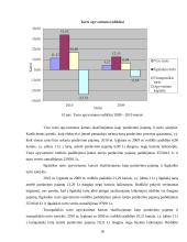 UAB „Maisto ralis“ finansinių analizių ataskaita 18 puslapis