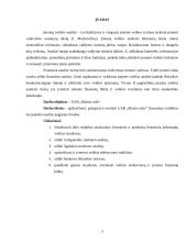 UAB „Maisto ralis“ finansinių analizių ataskaita 3 puslapis