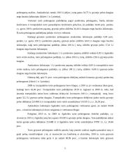 UAB „Maisto ralis“ finansinių analizių ataskaita 5 puslapis