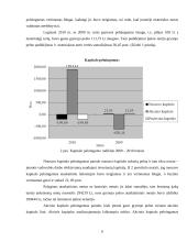 UAB „Maisto ralis“ finansinių analizių ataskaita 6 puslapis