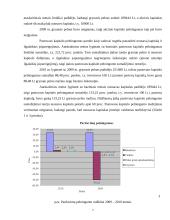 UAB „Maisto ralis“ finansinių analizių ataskaita 7 puslapis