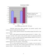UAB „Maisto ralis“ finansinių analizių ataskaita 9 puslapis