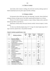 Individualios įmonės „Stogdengėlis“ verslo planas 12 puslapis