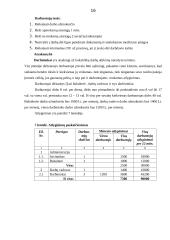 Individualios įmonės „Stogdengėlis“ verslo planas 16 puslapis