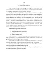 Individualios įmonės „Stogdengėlis“ verslo planas 18 puslapis