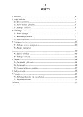 Individualios įmonės „Stogdengėlis“ verslo planas 3 puslapis